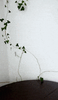 Water Glass Birthday GIF