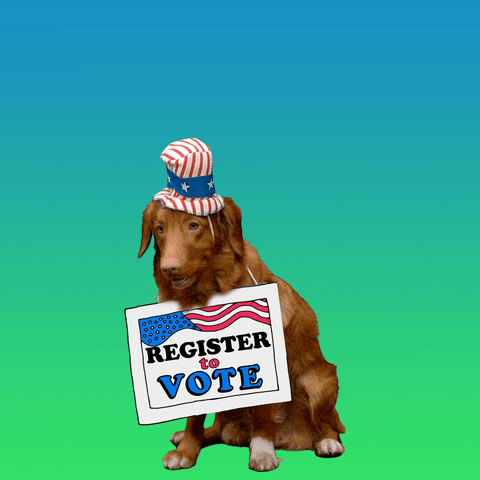 Video gif. Panting Golden Retriever wearing an American flag top hat against a blue and green background, wears a sign around its neck that reads, “Register to vote.” Text emerges about its head, “Don’t Fur-get.”