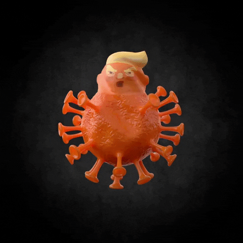 Biden Harris GIF