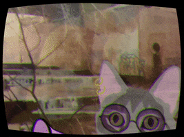 New Music Cat GIF by d00dbuffet