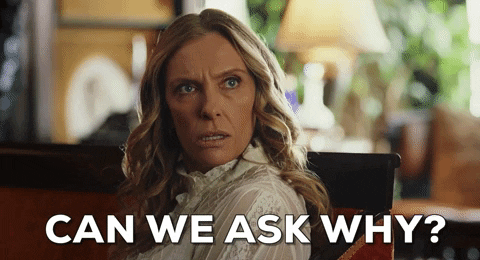 Toni Collette GIF by Knives Out - Find & Share on GIPHY