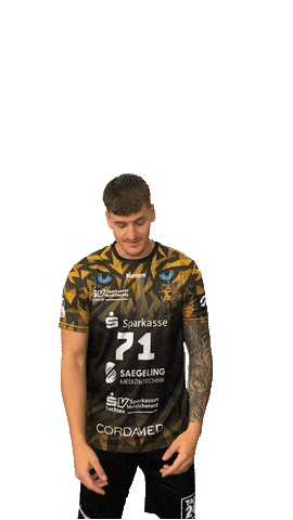 Bundesliga Handball Sticker by hcelbflorenz