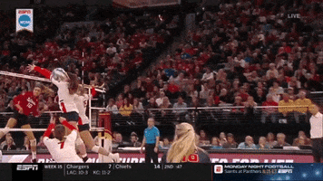 volleyball illinois GIF by NCAA Championships