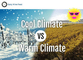 climate wines GIF by Gifs Lab