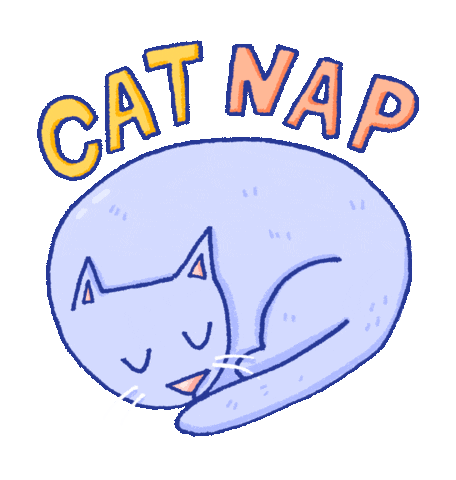 Cat Nap Sticker by Steph Stilwell