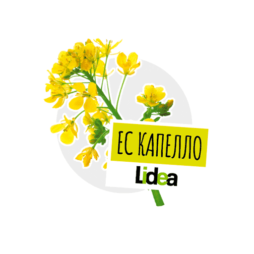 Lidea Seeds Sticker