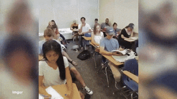 founder  GIF