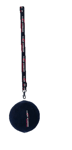 Smartball Sticker by Tourstriker