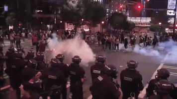 Civil Rights GIF