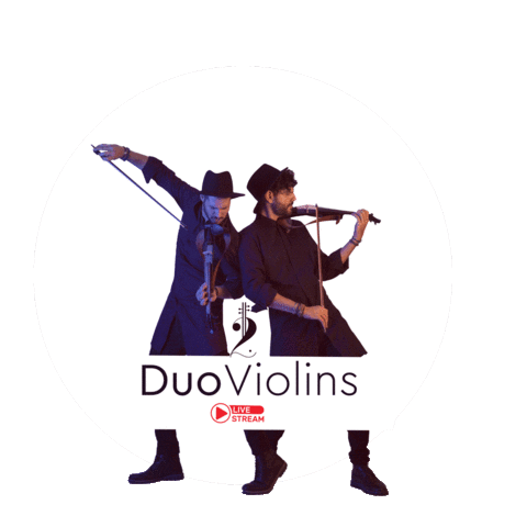 Violin Sticker by Duo Violins Official