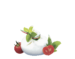 Alimilk industria casearia Sticker