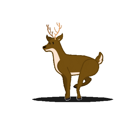 Whitetail Resort Sticker