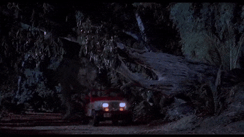 ianphillips92  GIF