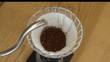 Blooming GIF