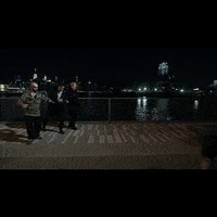 New York City Capoeira GIF by The Gregory Brothers