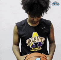 Great Danes Basketball GIF by America East