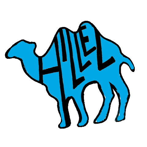 Israel Camel Sticker by Hillel International