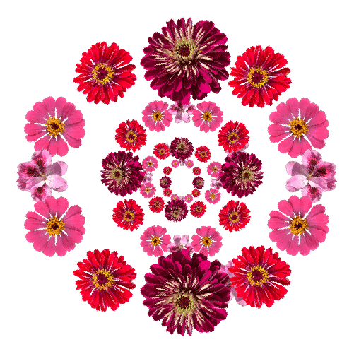 Visual Art Dance Sticker for iOS & Android GIPHY