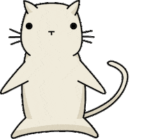 Off White Cat Sticker