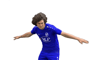 FC Stahl Brandenburg e.V Sticker
