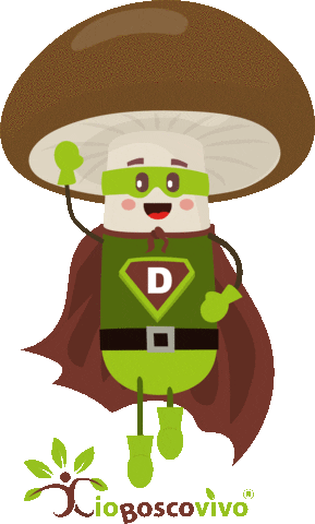IoBoscoVivo Sticker