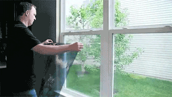 Image result for window tinting