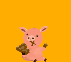 HannahtheSpanner chocolate pig farm piggy GIF