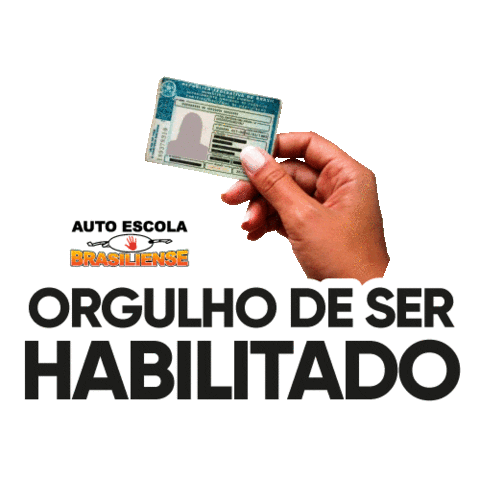 Auto Escola Brasiliense Sticker