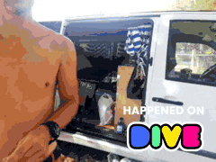 Travel Camping GIF by Dive