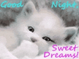 Sweet Dreams Gif By Memecandy