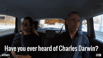 Channel 9 Question GIF by Married At First Sight Australia