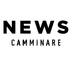 News Trend Sticker by Camminare Calçados