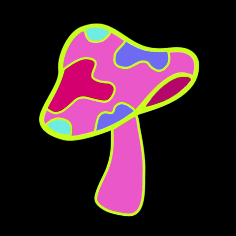 GIVEMEPLUR GIF