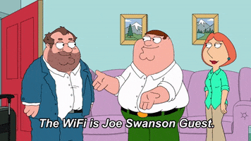 Family Guy Wifi GIF by FOX TV