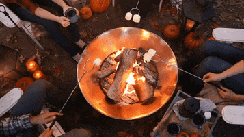 Fall Campfire GIF by Balsam Hill