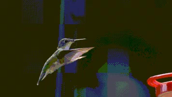 motion hovering GIF