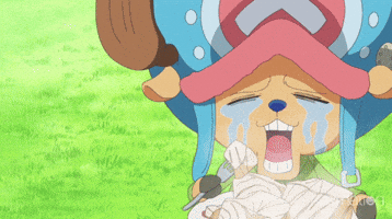 one piece crying GIF by Funimation