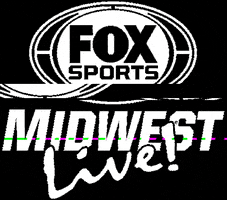 Ballpark Village St. Louis GIF