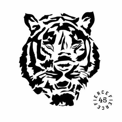 Fierce45 GIF