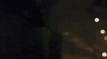 Kung Fu GIF