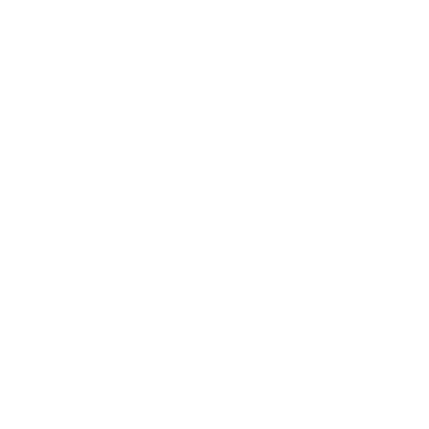 Tsr Sticker by The Sky Race