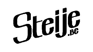 Steije Hillewaert Sticker