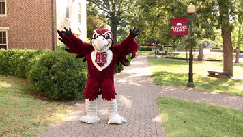 Hands Up Rooney GIF by Roanoke College