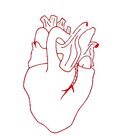 Heart Sticker