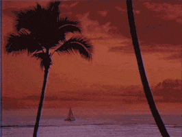 palm tree water GIF by rotomangler