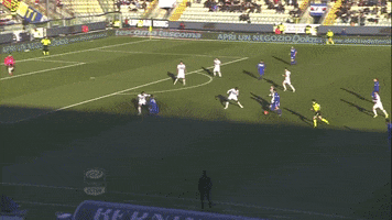 Correa GIF by Sampdoria
