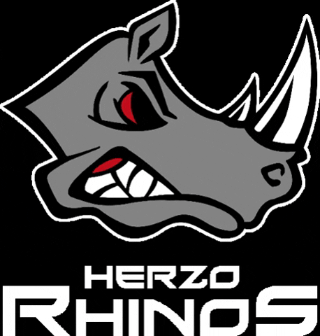 Herzogenaurach GIF by Herzo Rhinos