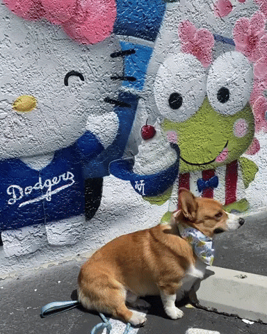 Hello Kitty Corgi GIF