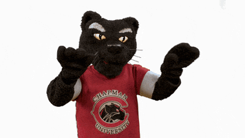 chapmanu college ncaa university mascot GIF