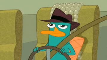 image perry GIF